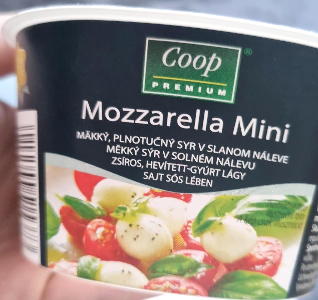 Képek - Mozzarella mini Coop Premium