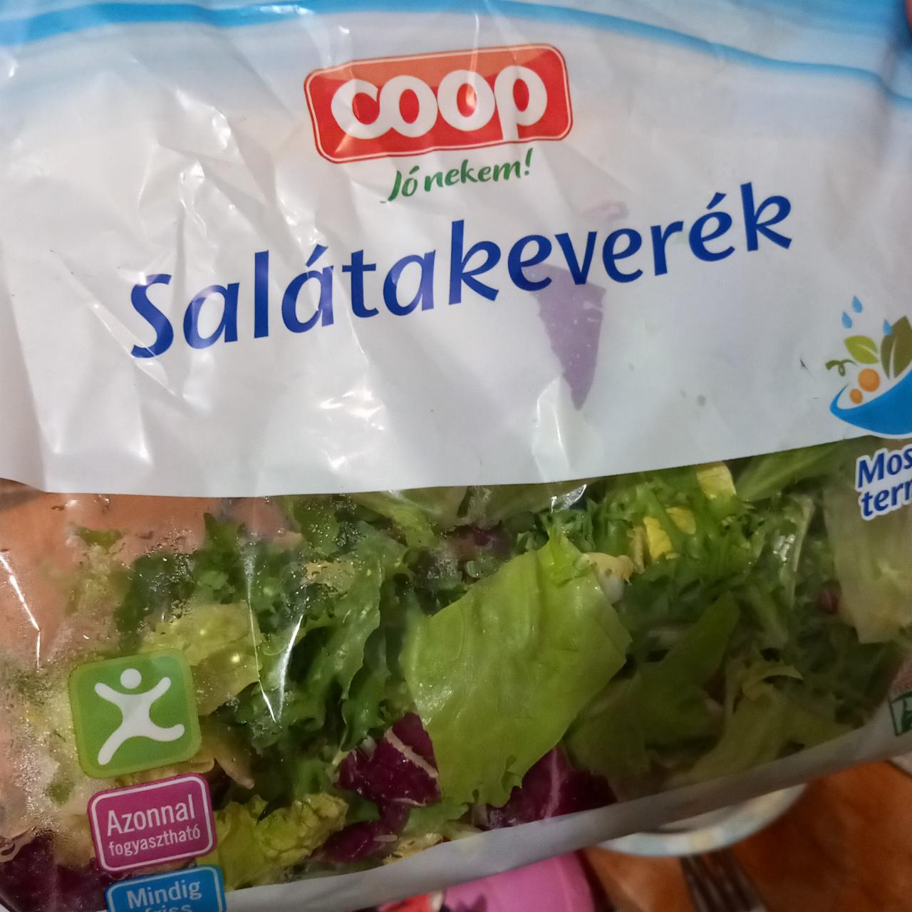 Képek - Salátakeverék Coop