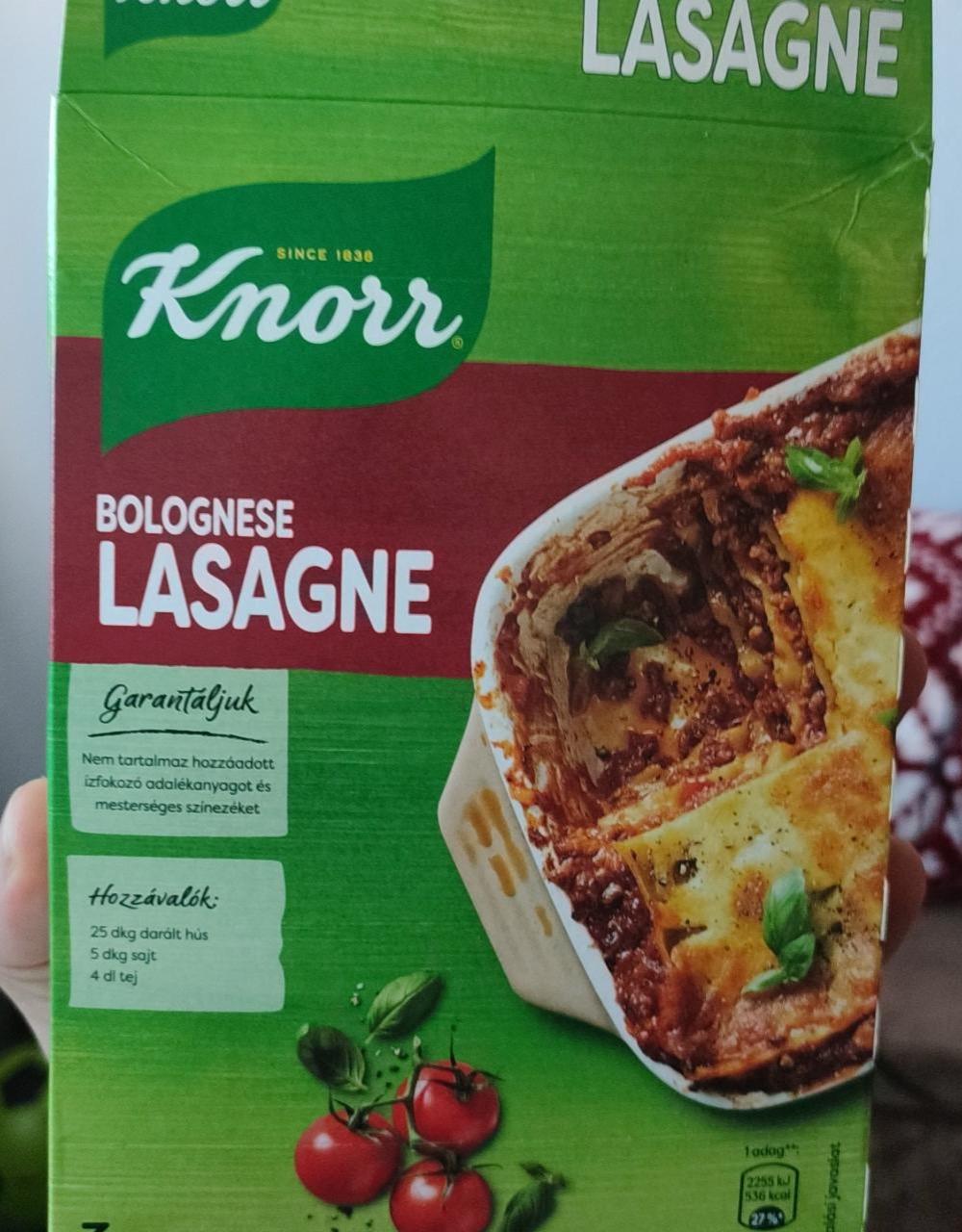 Képek - Bolognese Lasagne Knorr