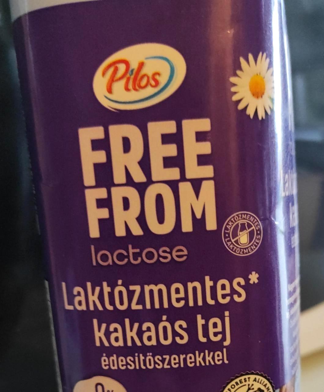 Képek - Laktózmentes kakaós tej édesítőszerrel Pilos