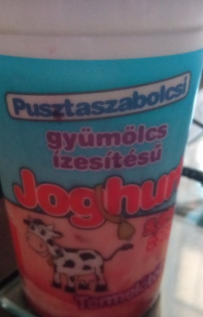 Képek - Gyümölcs ízesítésű joghurt Pusztaszabolcsi