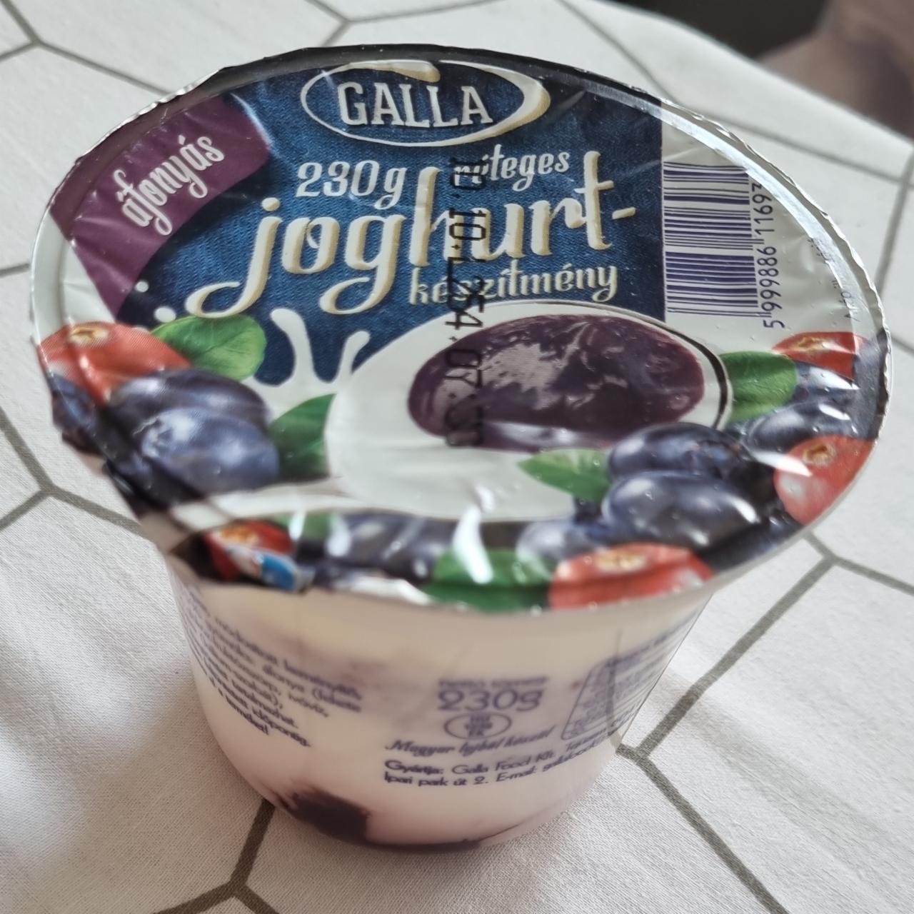 Képek - Áfonyás réteges joghurt Galla