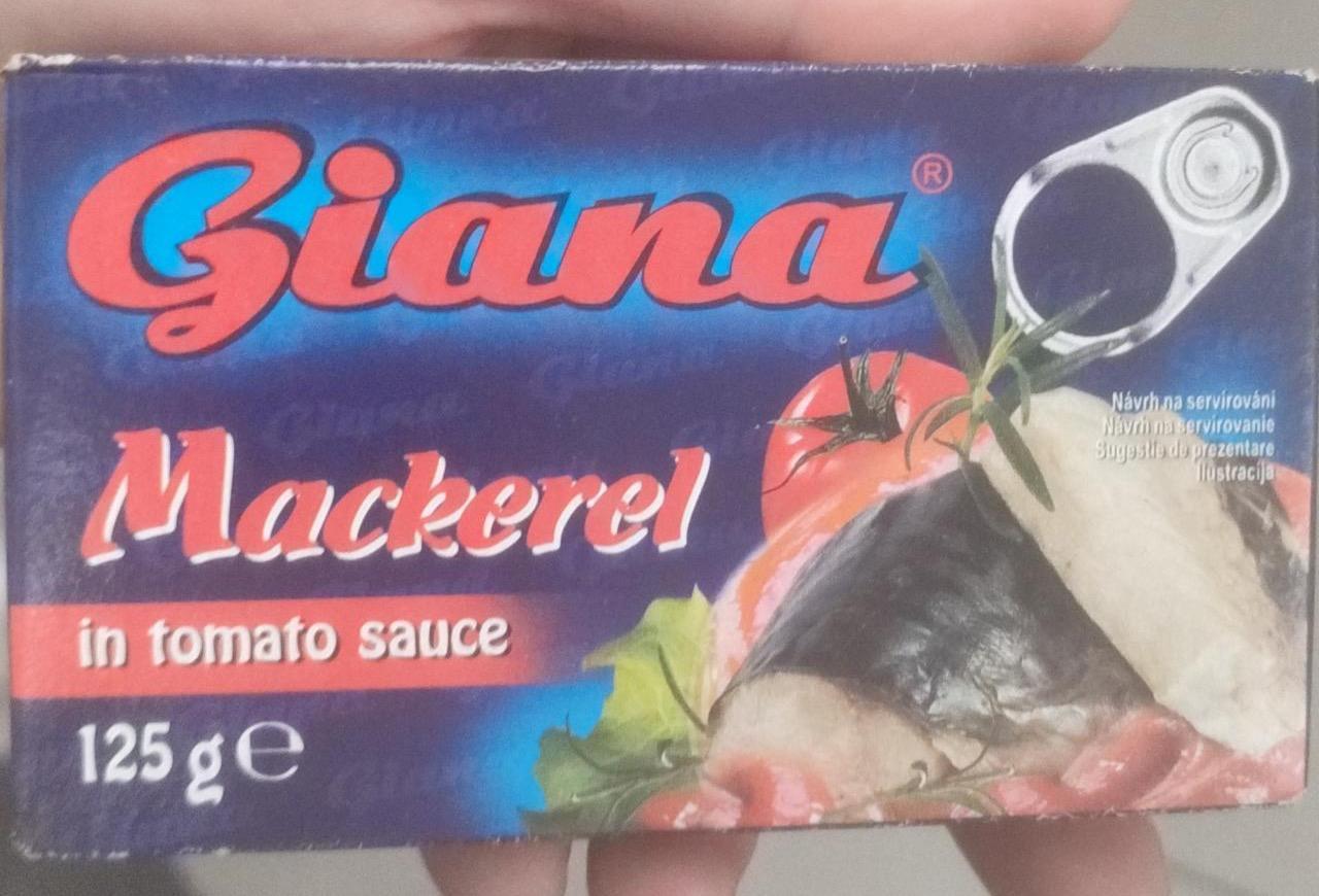Képek - Mackerel in tomato sauce Giana