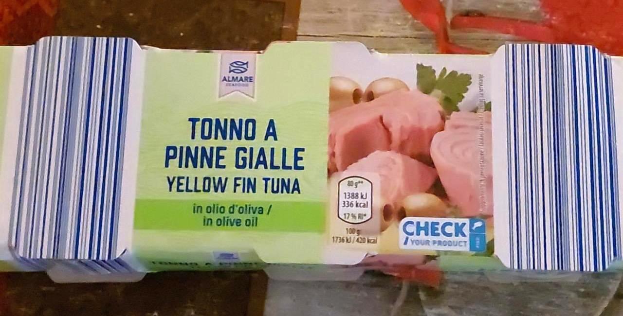 Képek - Tonhal konzerv Tonno a pinne gialle yellow fin tuna Almare seafood