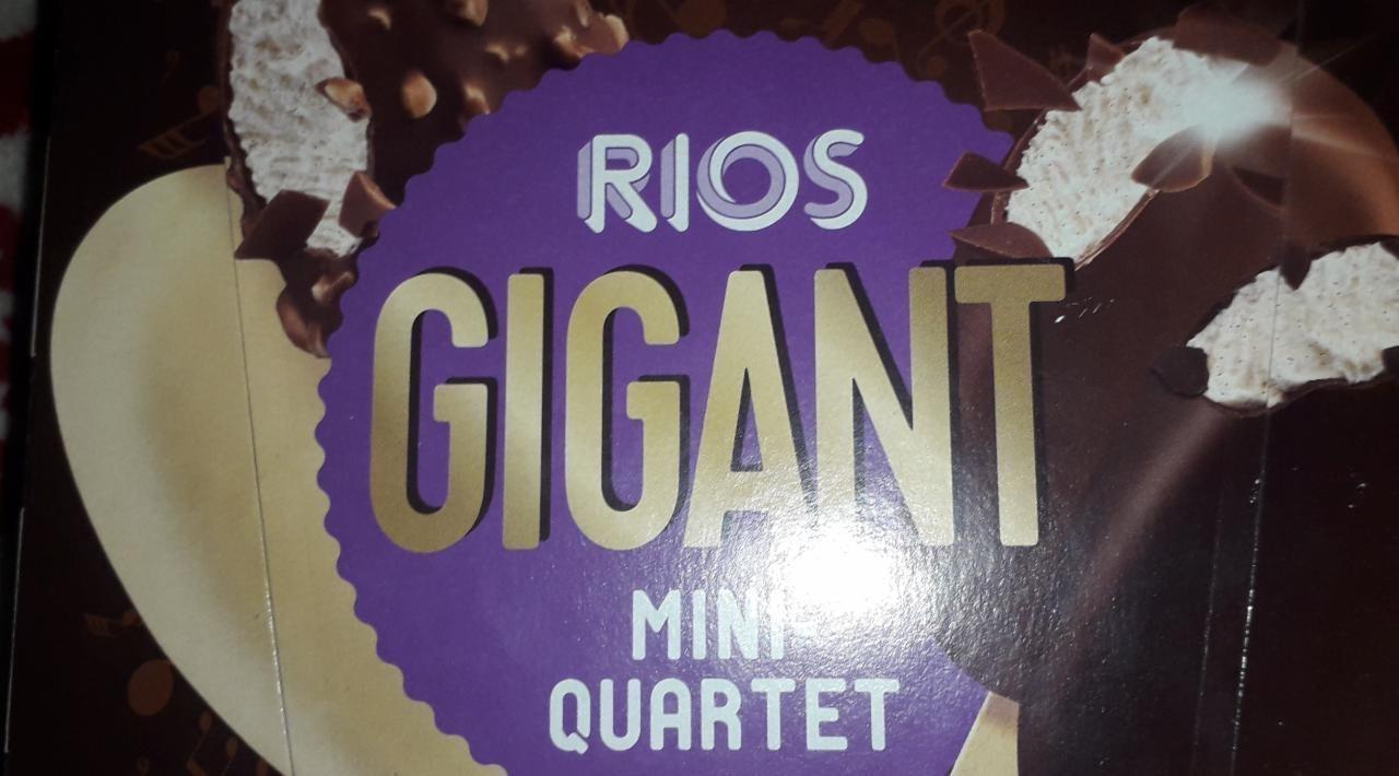 Képek - Gigant mini quartet Rios