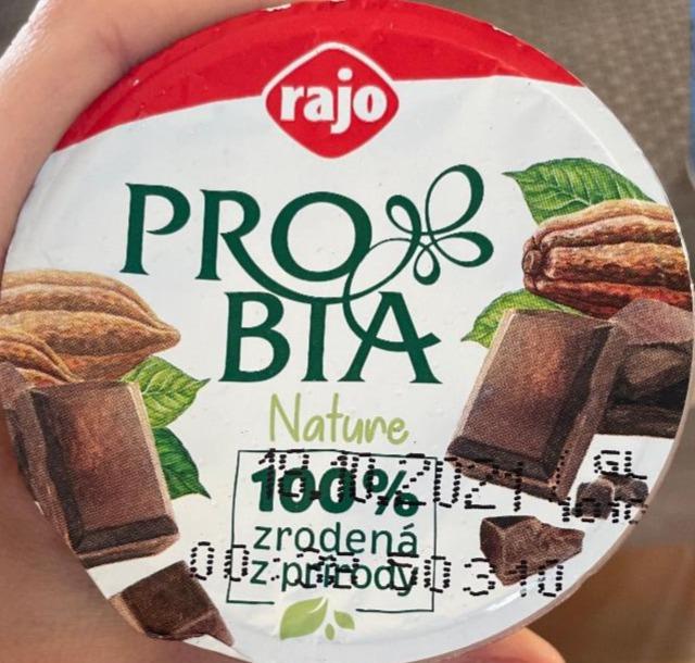 Képek - Probia natúr csokis jogurt Rajo