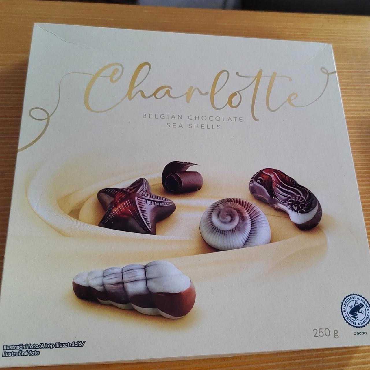 Képek - Belgian chocolate sea shells Charlotte