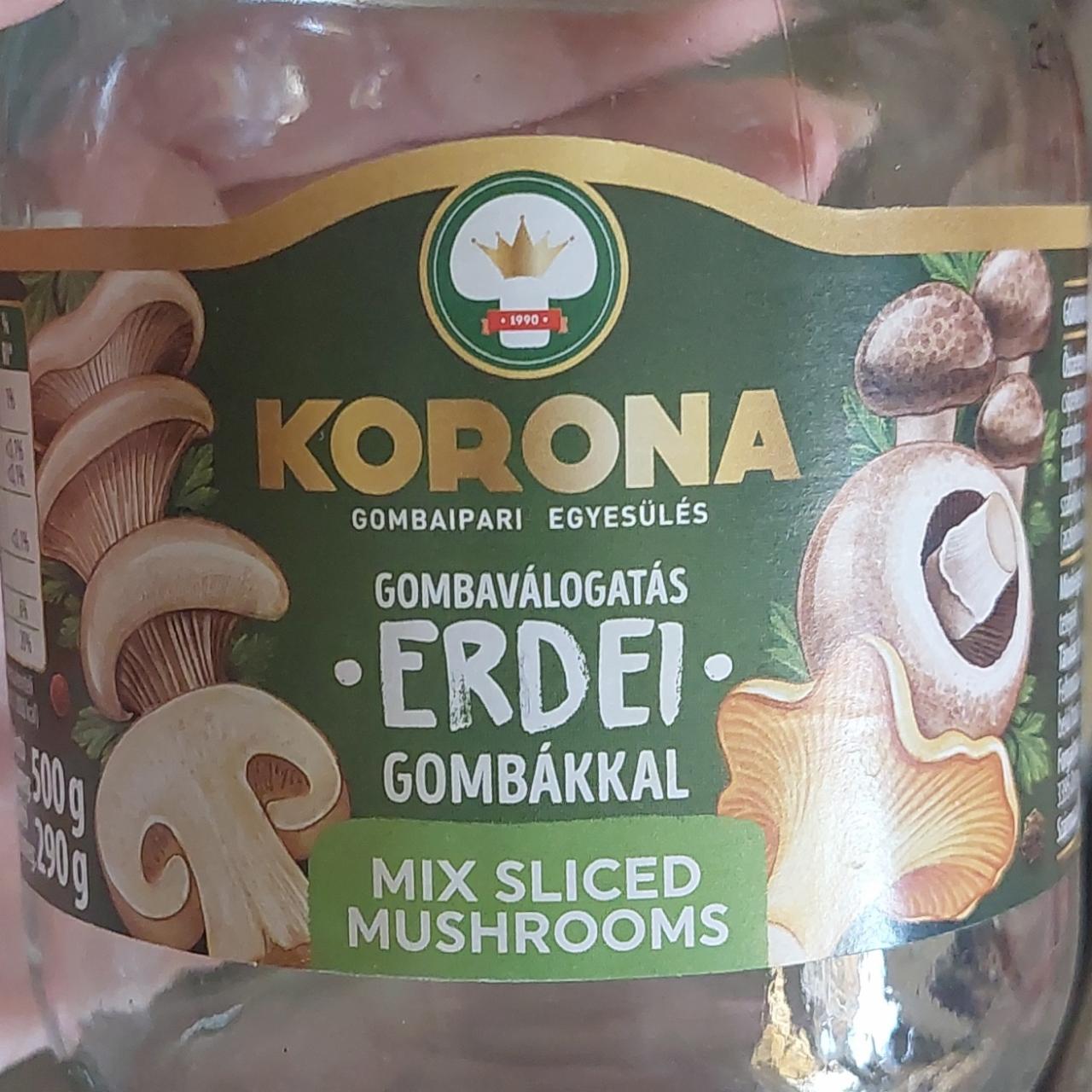 Képek - Korona gombaválogatás erdei gombákkal