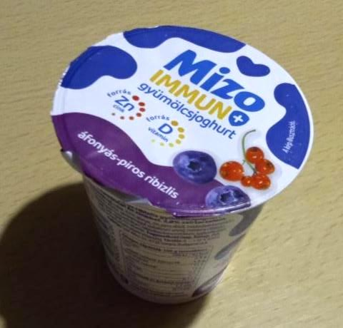 Képek - Mizo Immun+ áfonyás-piros ribizlis gyümölcsjoghurt 125 g