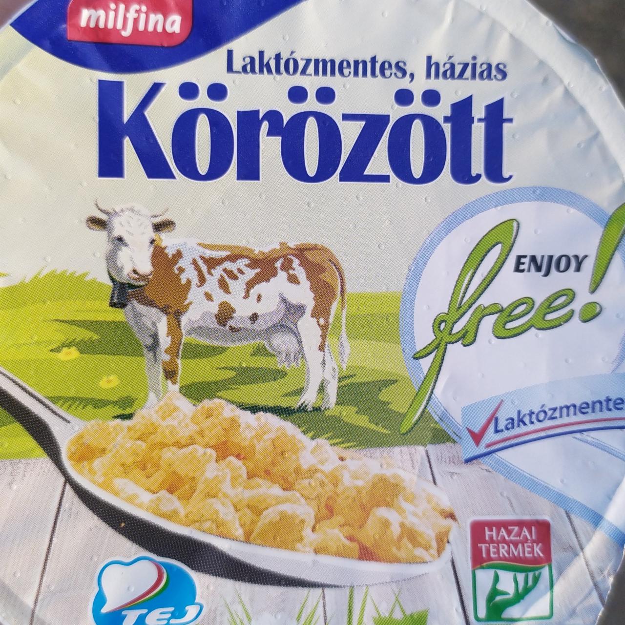 Képek - Körözött laktózmentes házias Milfina