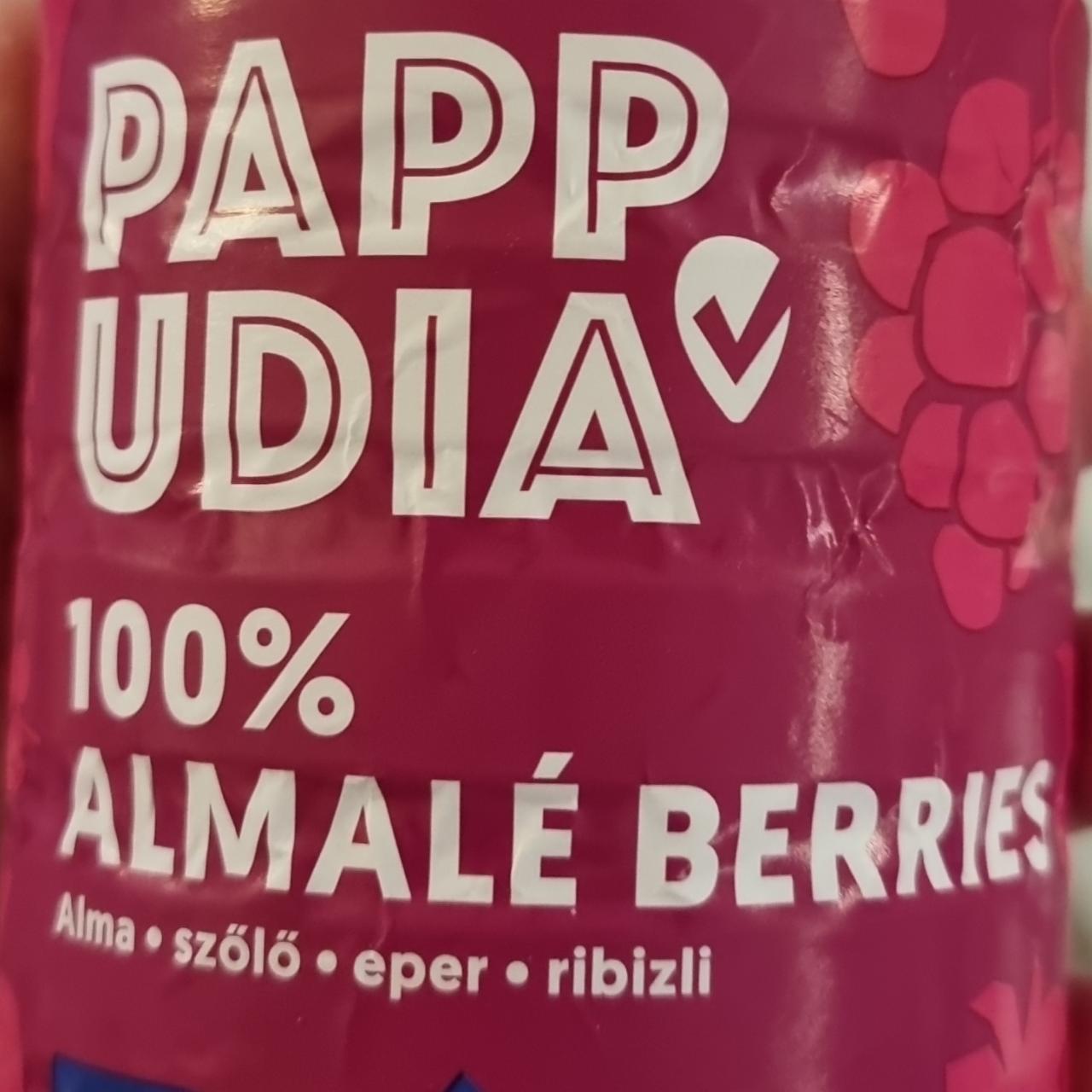 Képek - 100% almalé berries PAPPUDIA