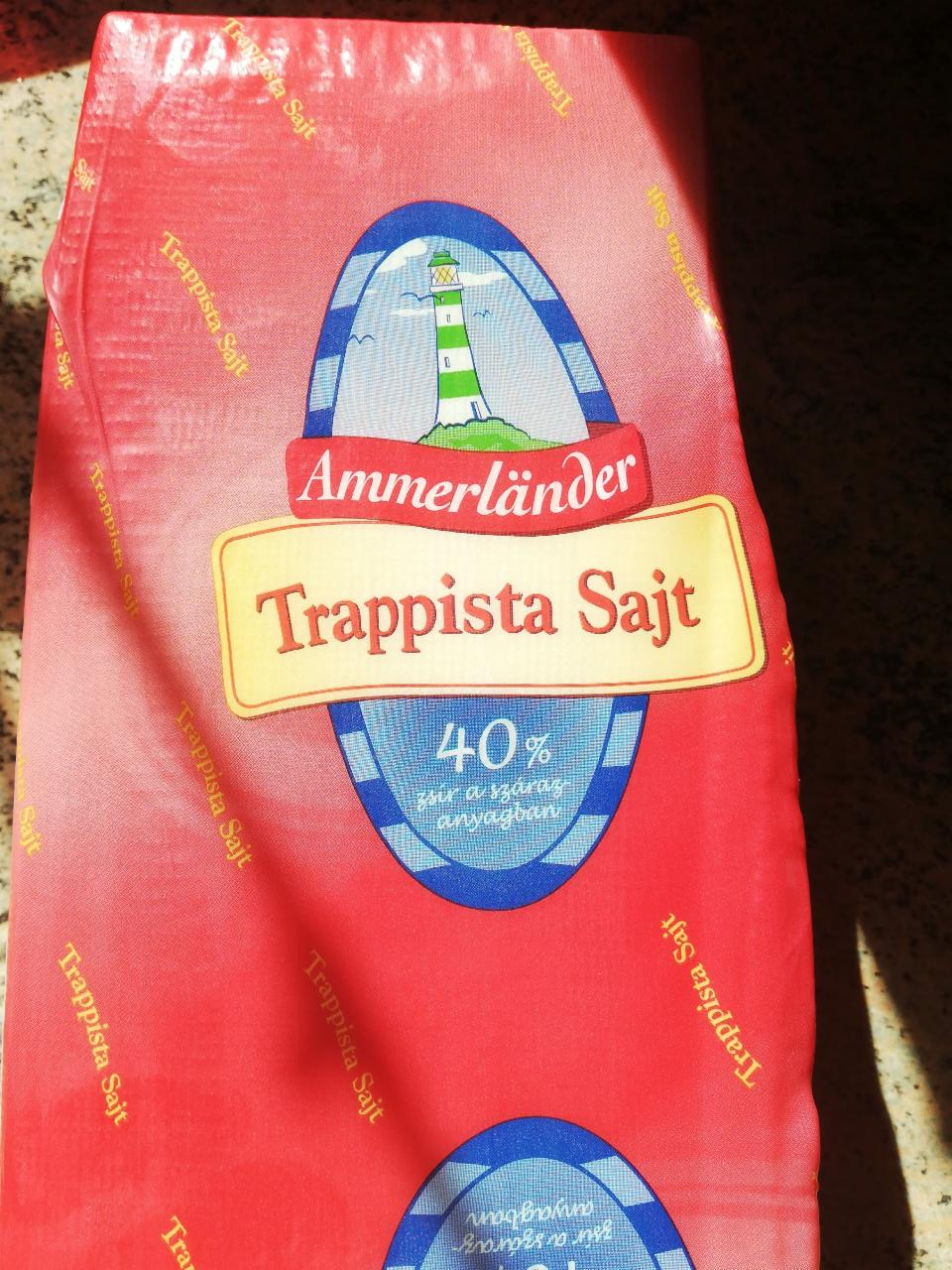 Képek - Trapista sajt 40% Ammerländer