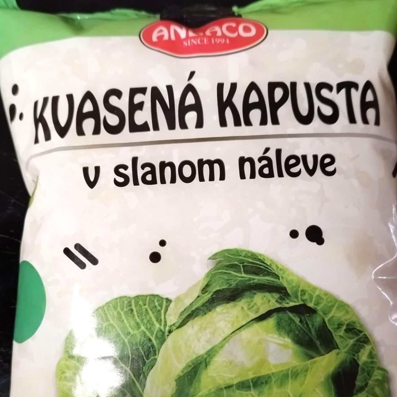 Képek - Kvasená kapusta v slanom náleve Andaco