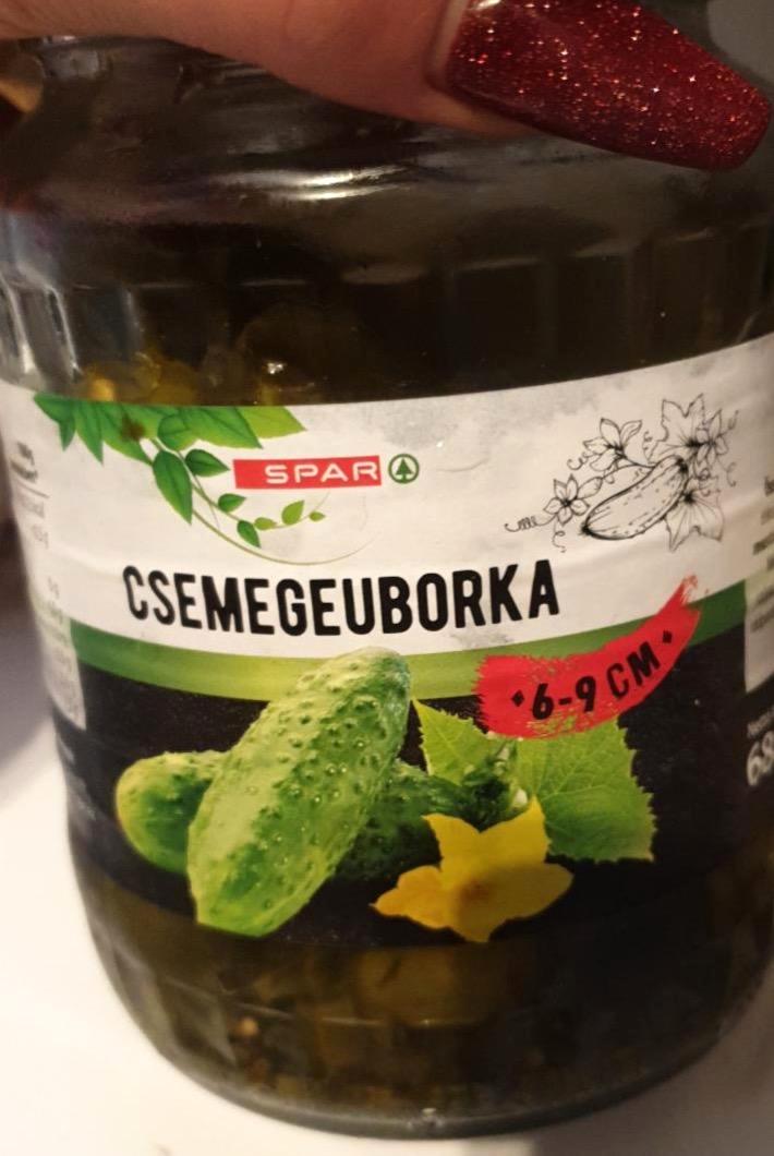 Képek - Csemegeuborka 6-9cm Spar