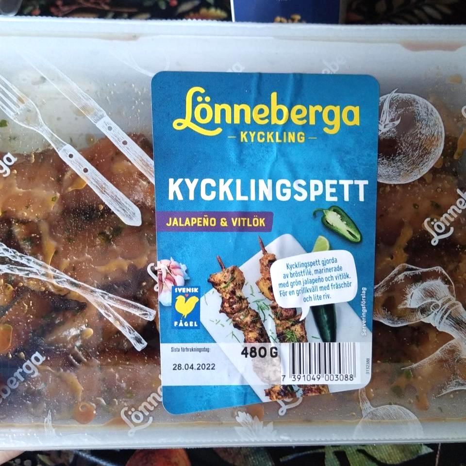 Képek - Csirke saslik Lönneberga