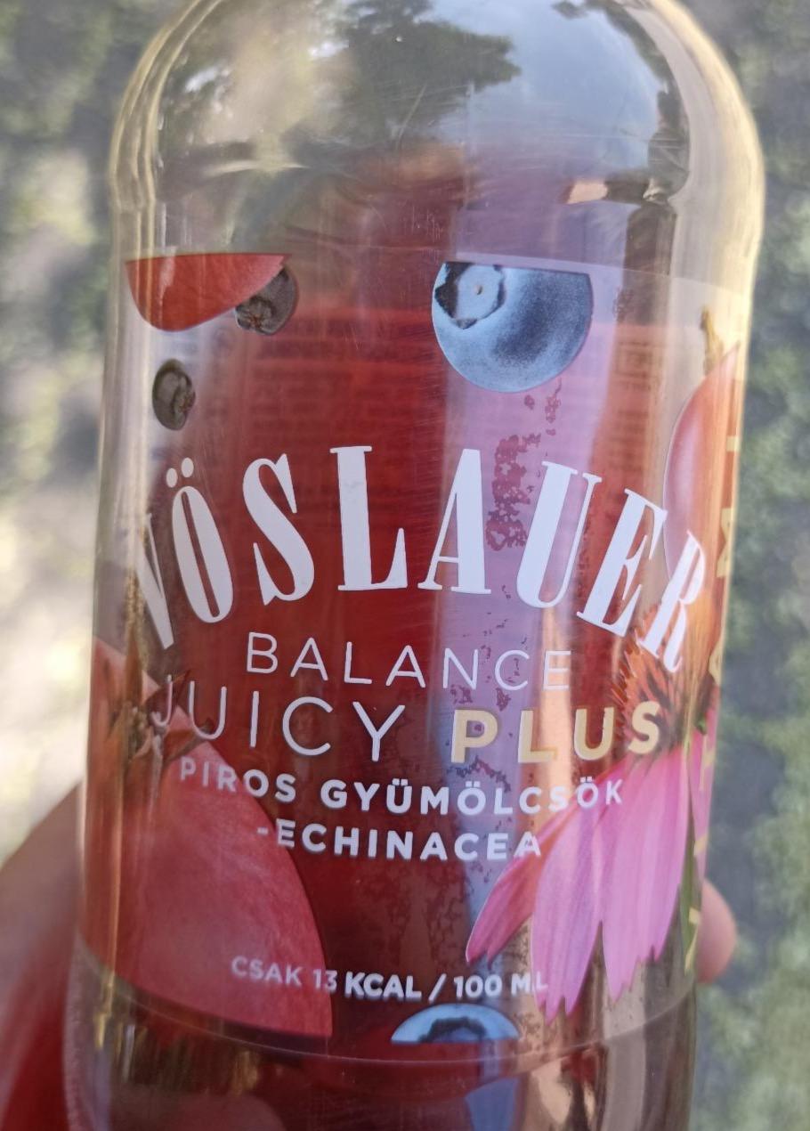 Képek - Vöslauer Balance Piros gyümölcsök - echinacea