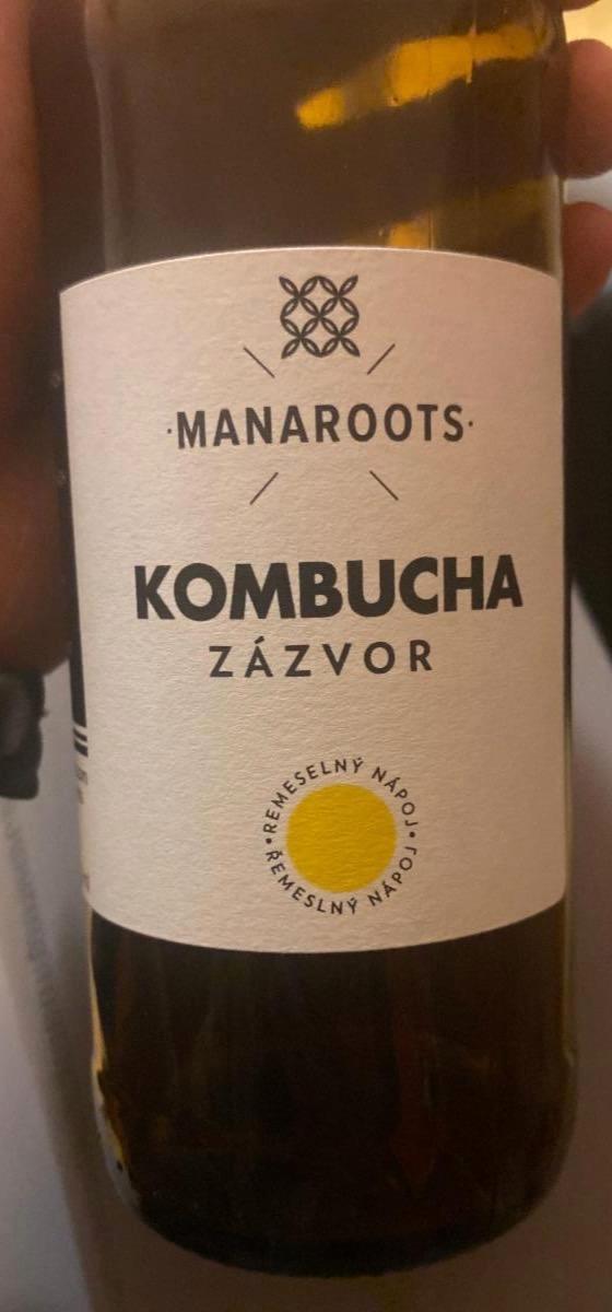 Képek - Kombucha -zázvor Manaroots