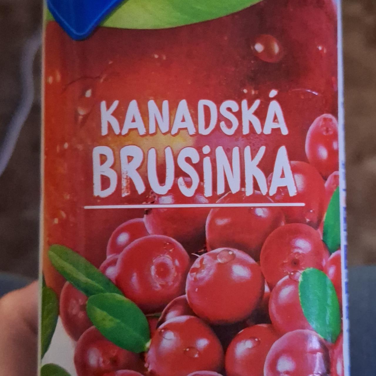 Képek - Kanadská Brusinka Relax