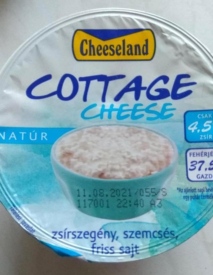 Képek - Cheeseland natúr, zsírszegény, szemcsés, friss sajt 150 g