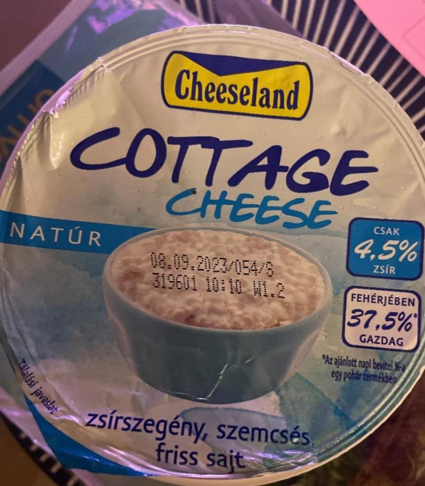 Képek - Cheeseland natúr, zsírszegény, szemcsés, friss sajt 150 g