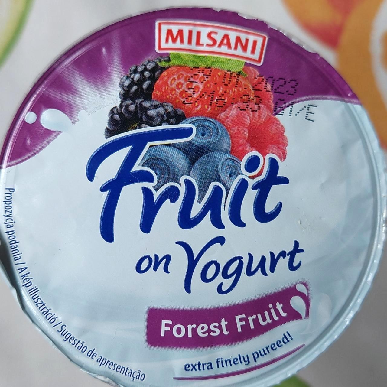 Képek - Fruit on yoghurt Forest fruit Milsani