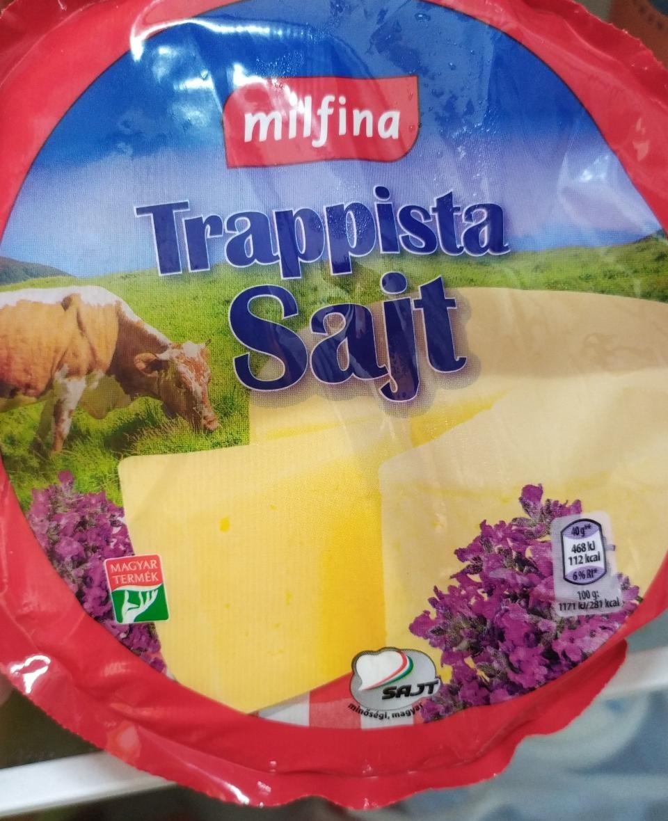 Képek - Trappista sajt Milfina