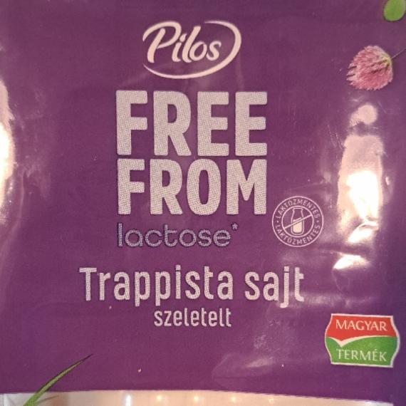 Képek - Free from laktózmentes trappista sajt Pilos