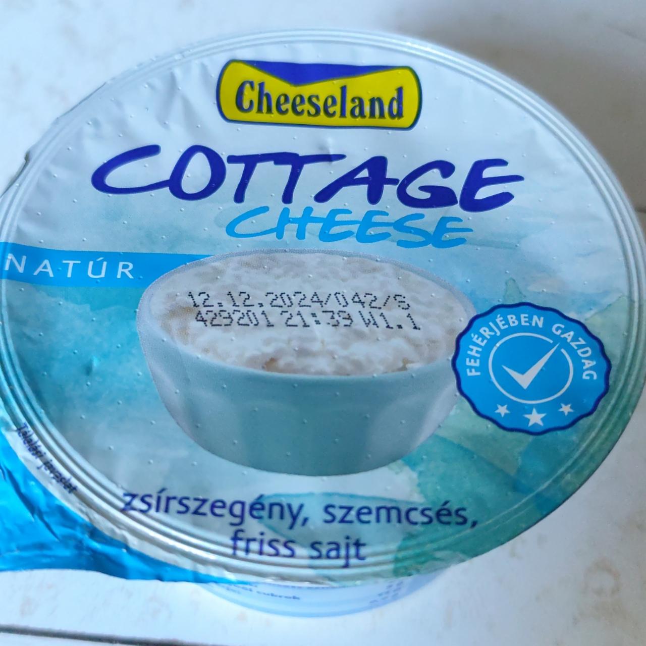 Képek - Cottage Cheesee natúr Cheesland