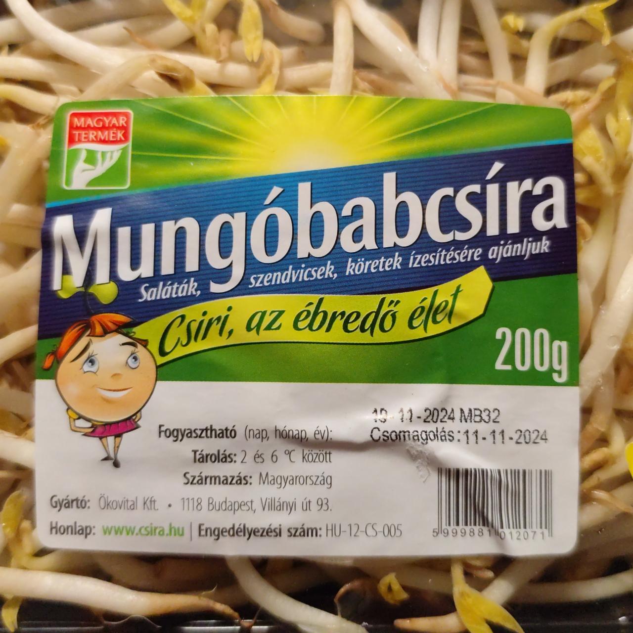 Képek - Mungóbabcsíra Ökovital