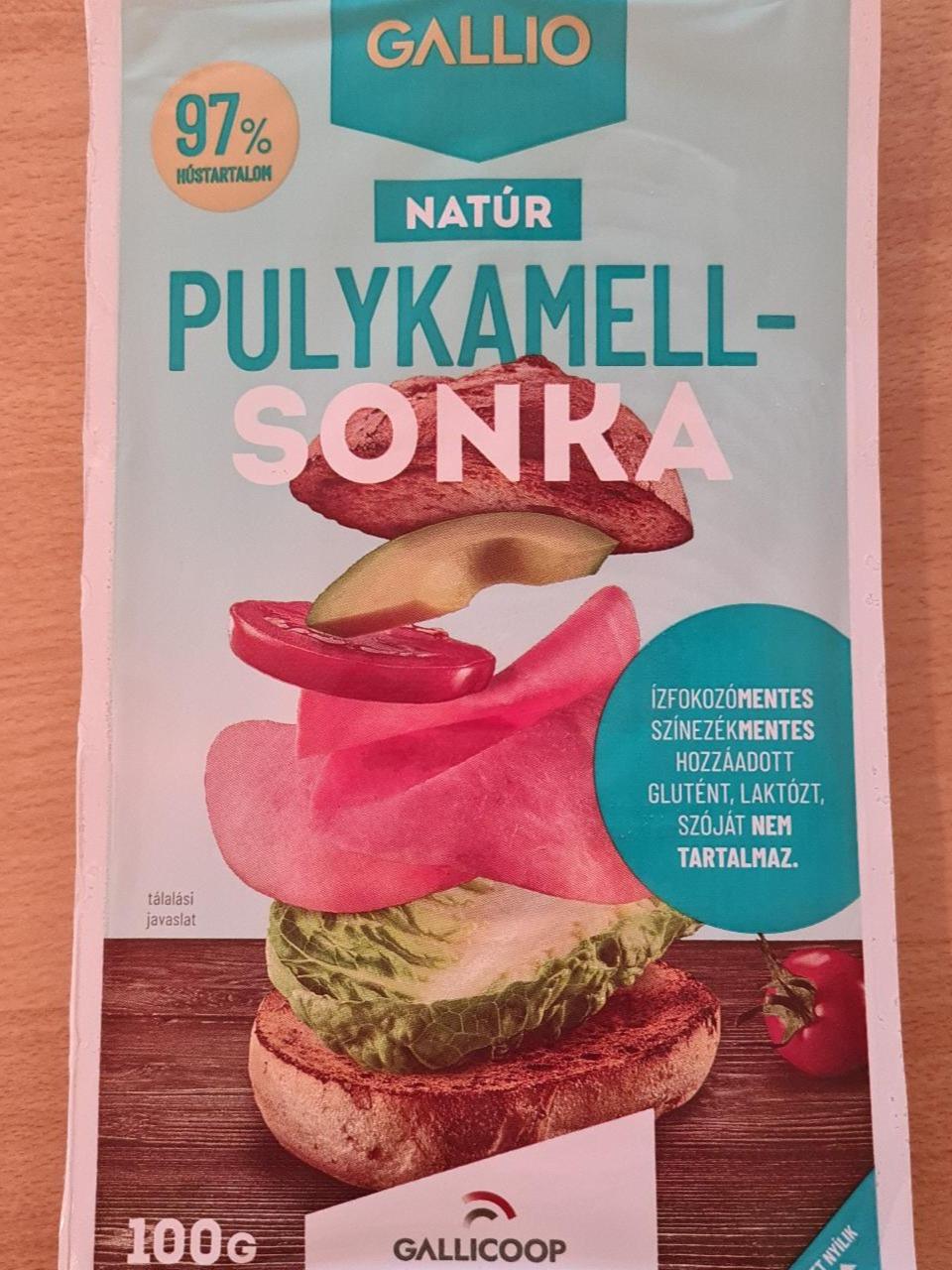 Képek - Gallio szeletelt natúr pulykamellsonka 100 g