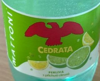 Képek - Cedrata s příchutí citrusů perlivá Mattoni