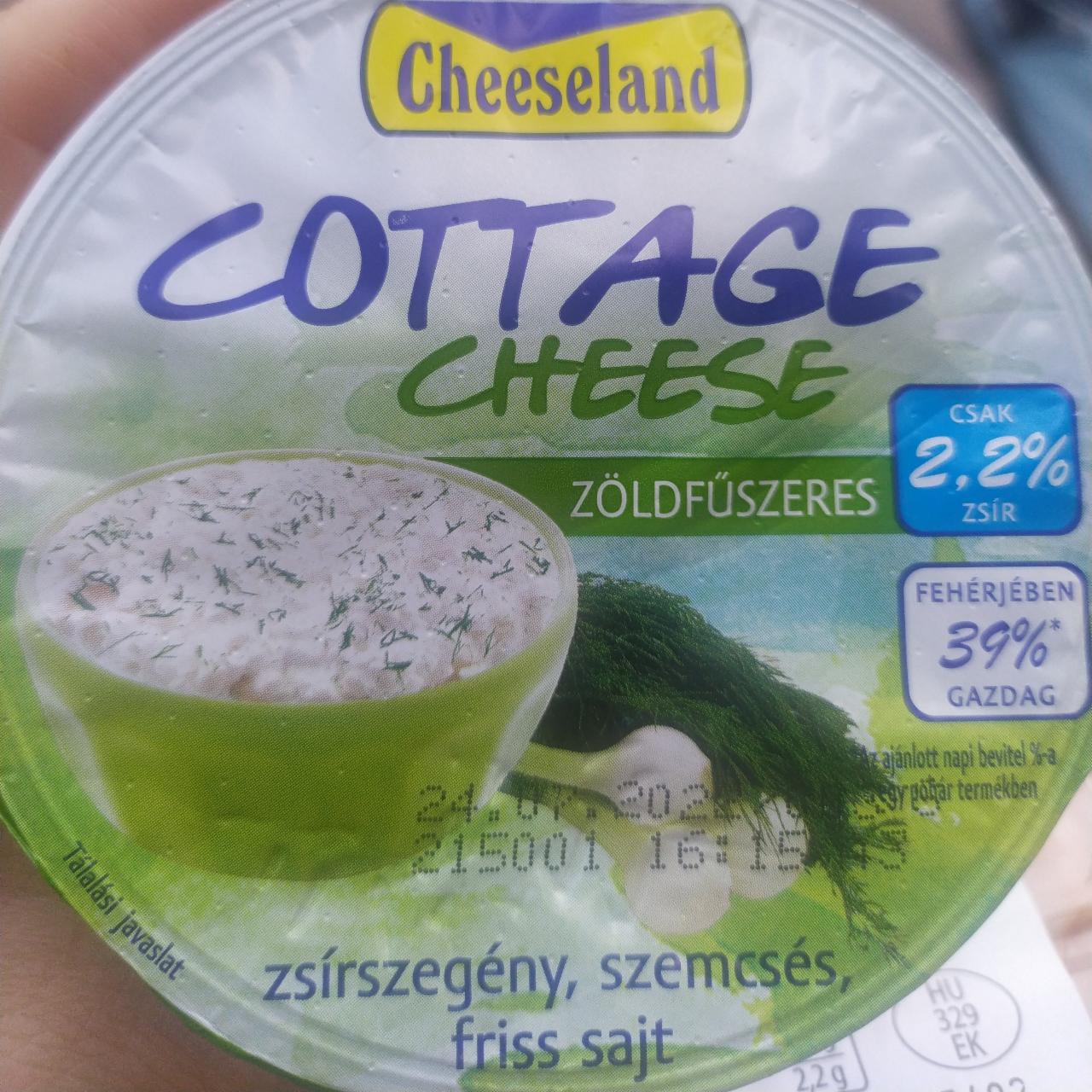 Képek - Cottage cheese zöldfűszeres Cheeseland