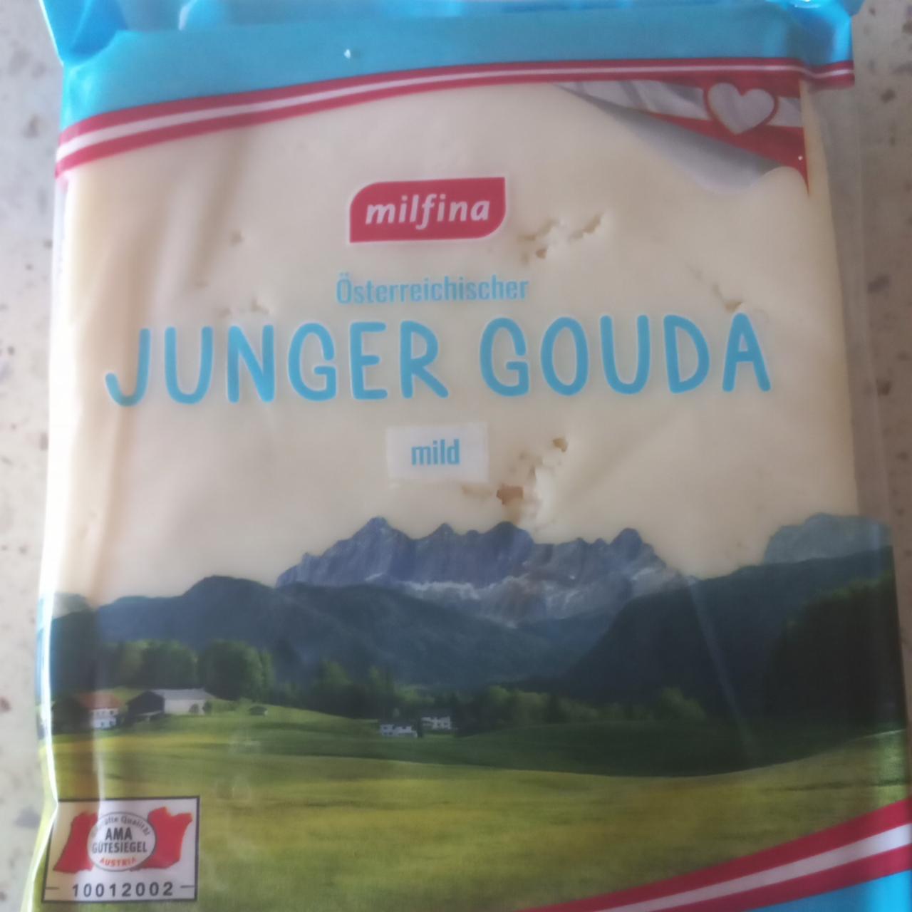 Képek - Junger gouda mild Milfina