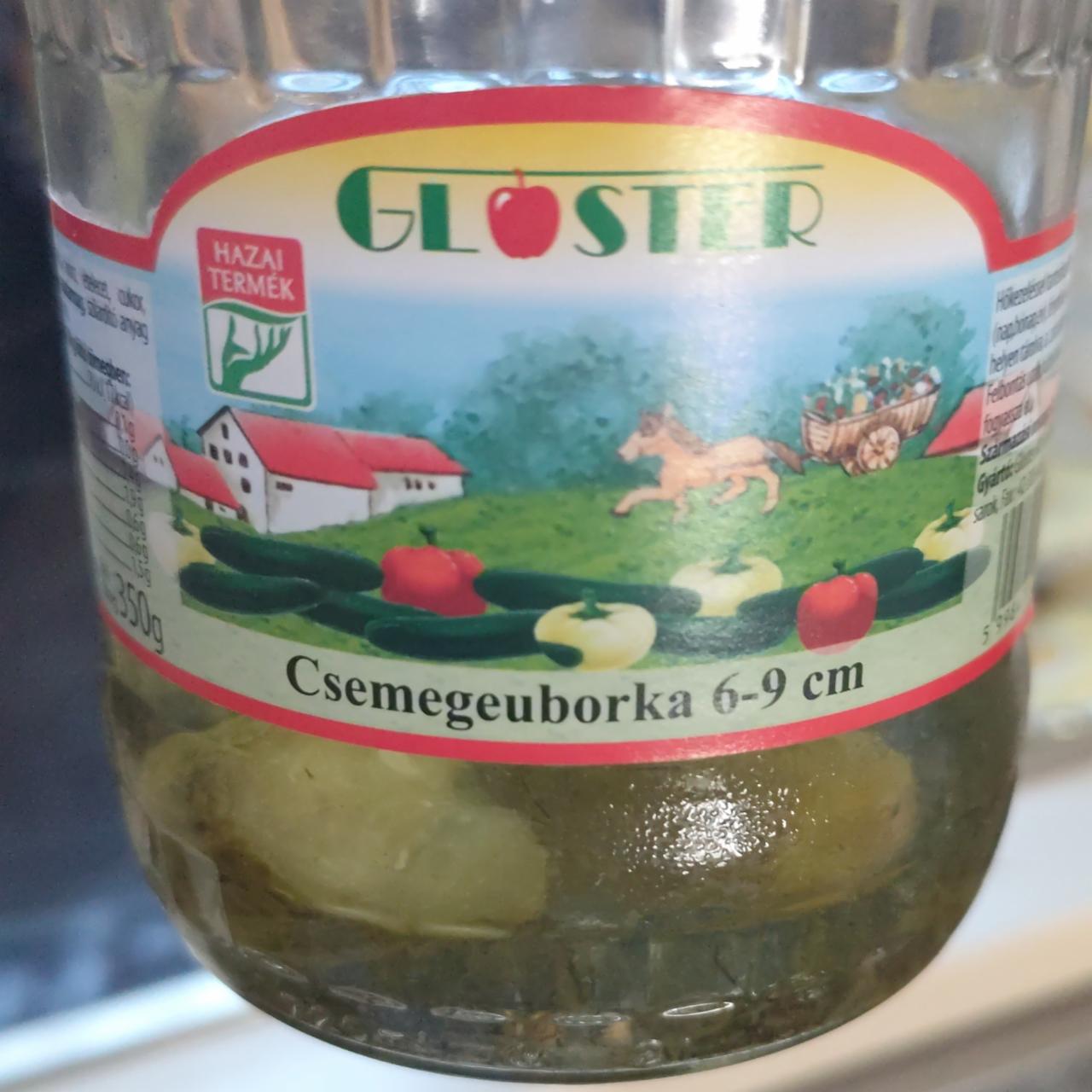 Képek - Csemege uborka Gloster