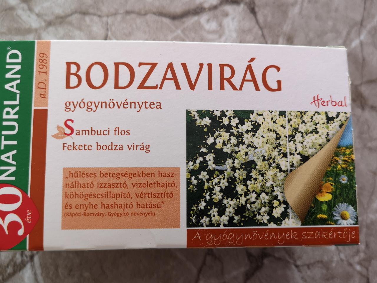 Képek - Bodzavirág filteres gyógynövénytea Naturland