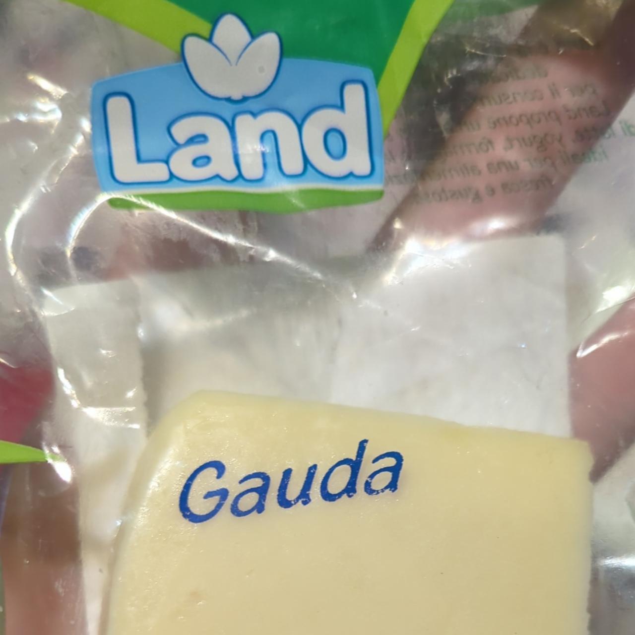 Képek - Gouda sajt Land