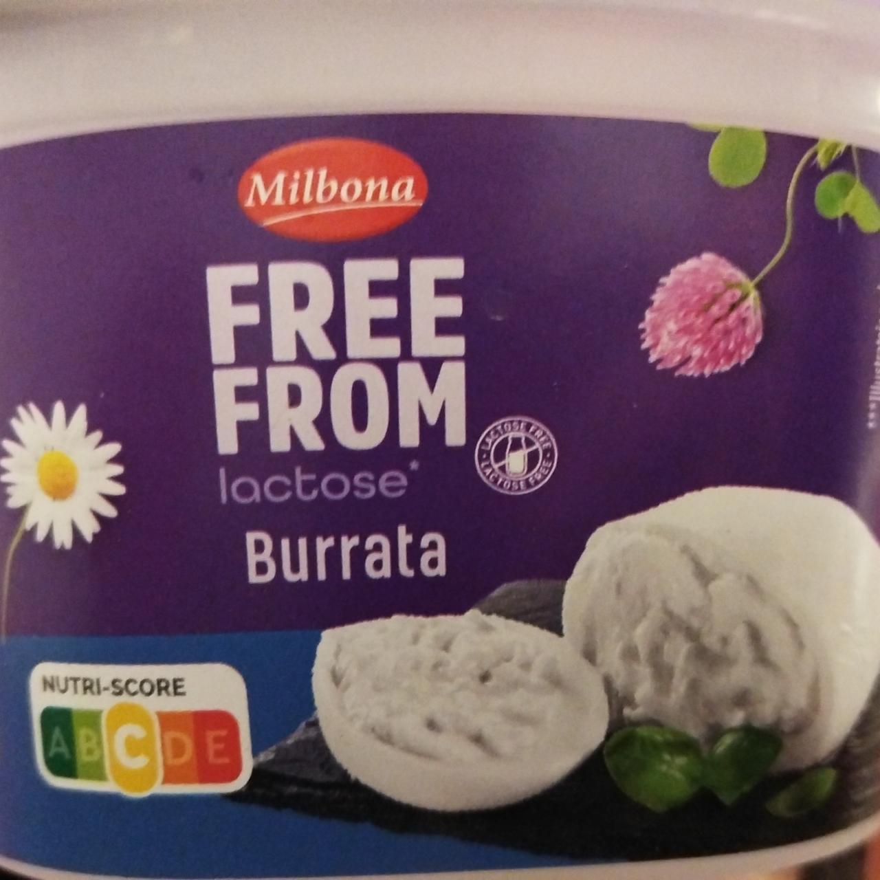 Képek - Free From laktose Burrata Milbona