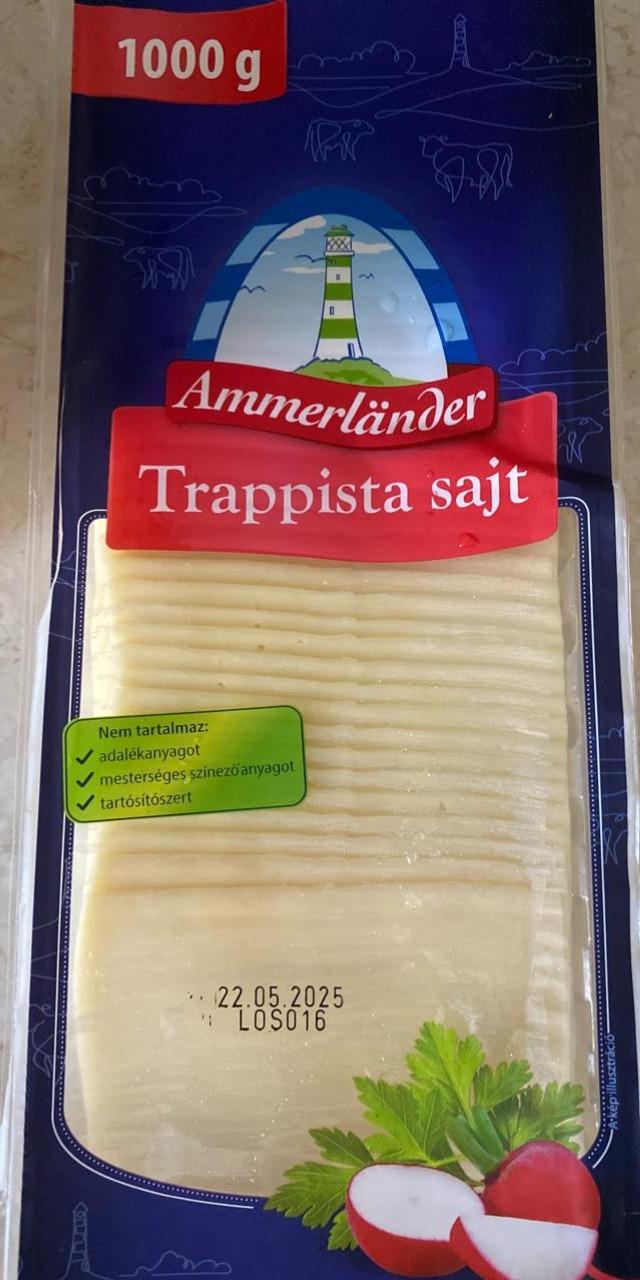Képek - Szeletelt trappista sajt Ammerlander