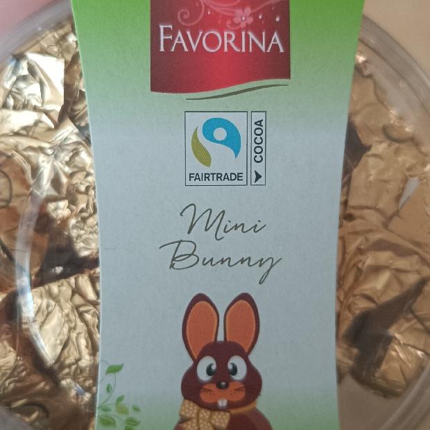 Képek - Mini bunny Favorina