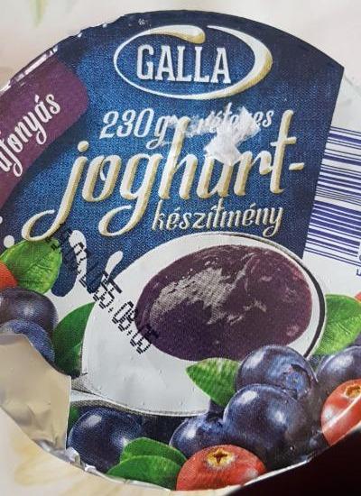 Képek - Joghurt gyümölcsrétegen - áfonyás - Galla