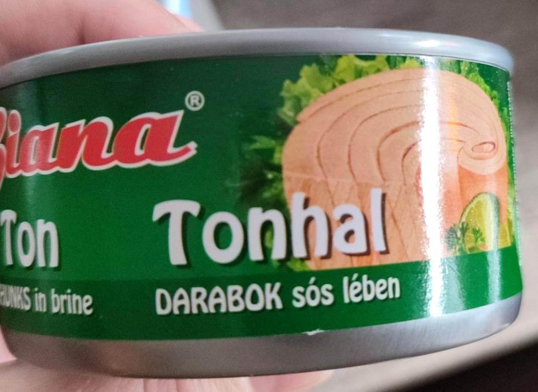 Képek - Giana tonhaldarabok sós lében 185 g