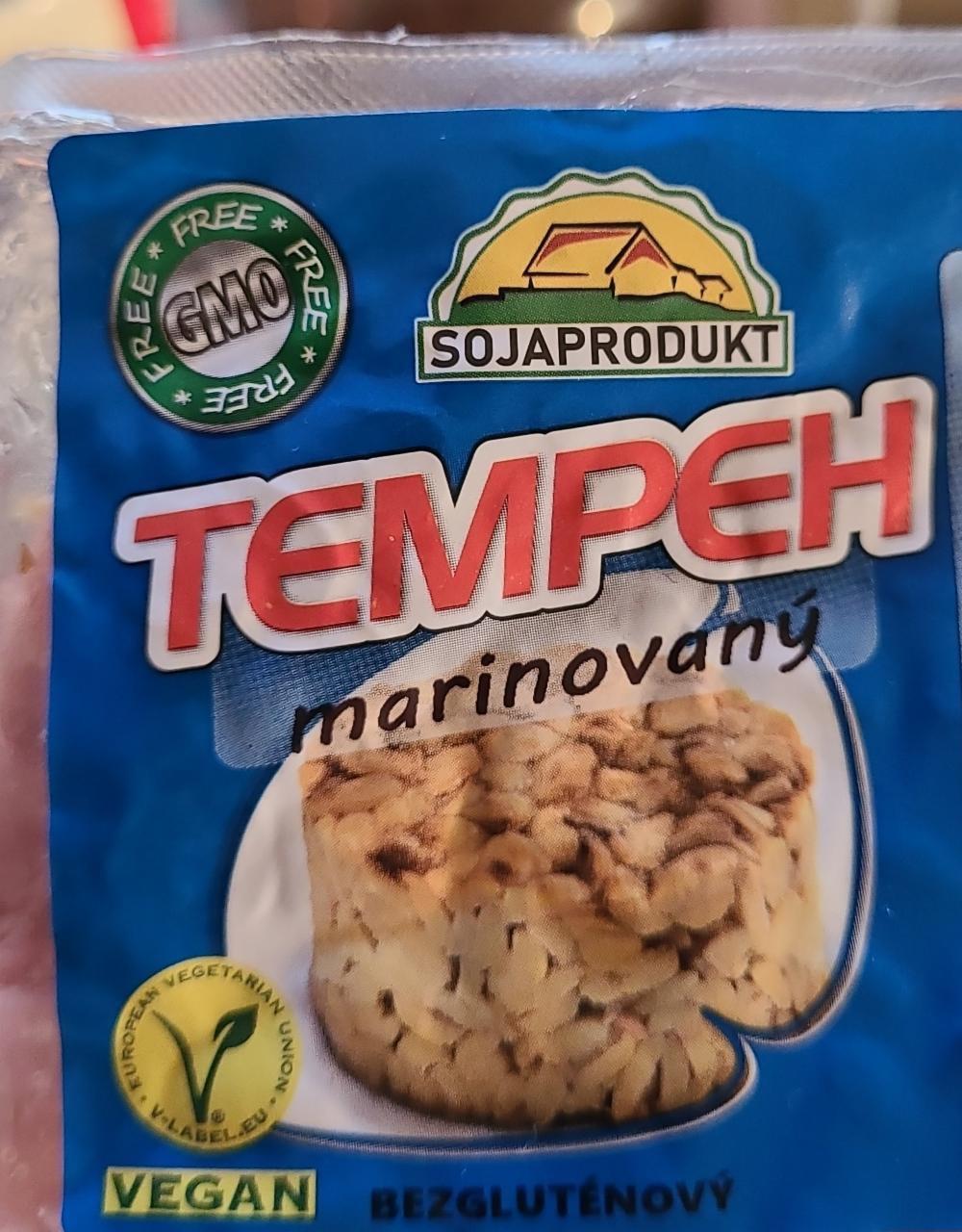 Képek - Tempeh Sojaprodukt