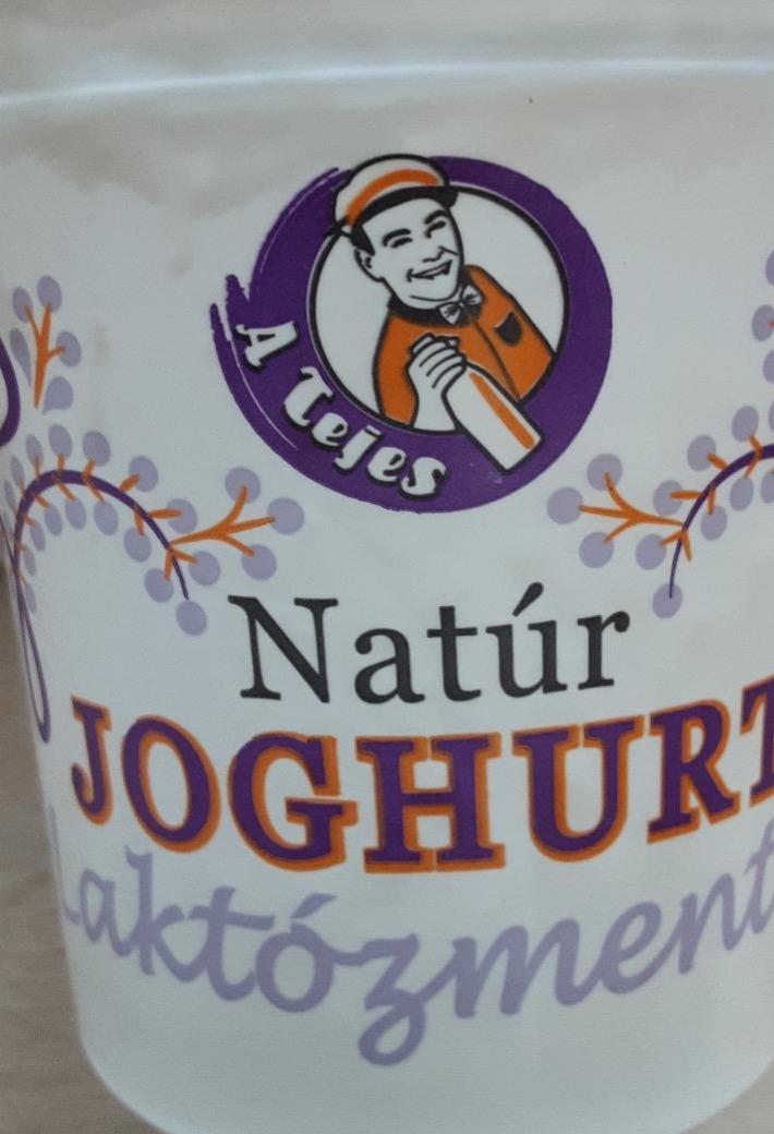 Képek - Laktózmentes natúr joghurt A Tejes