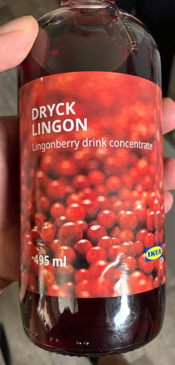 Képek - Dryck Lingon Vörösáfonya szörp Ikea