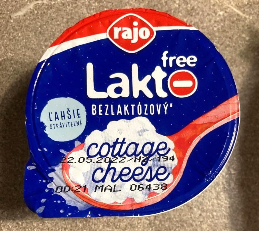 Képek - Lakto-free cottage cheese Rajo