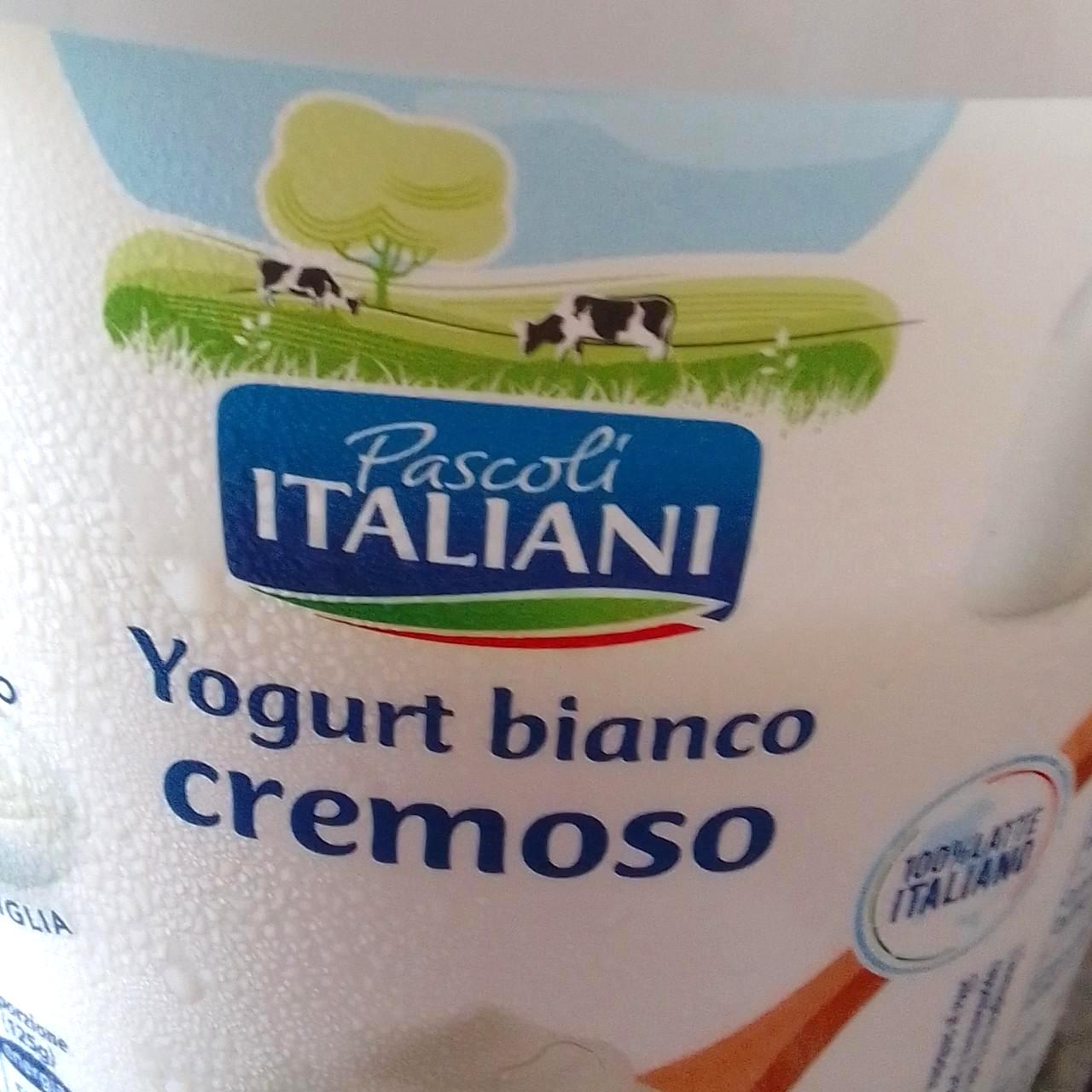 Képek - Joghurt fehér Pascoli Italiani