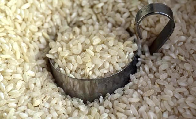 Képek - kerekszemű rizs