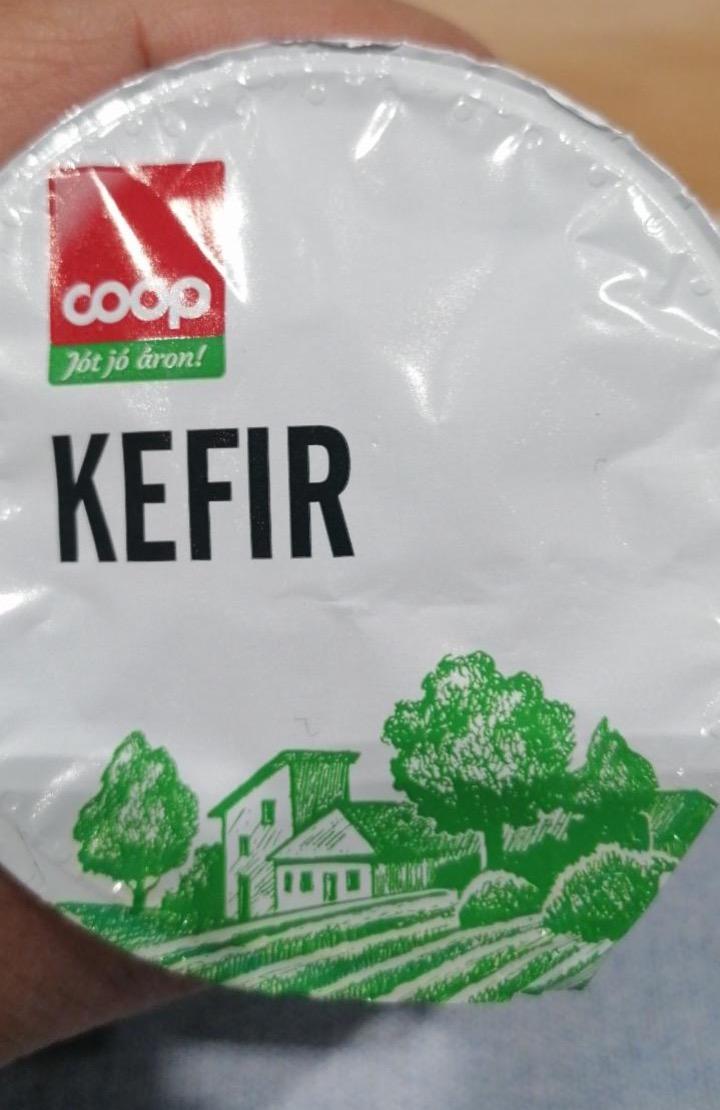 Képek - Kefir Coop