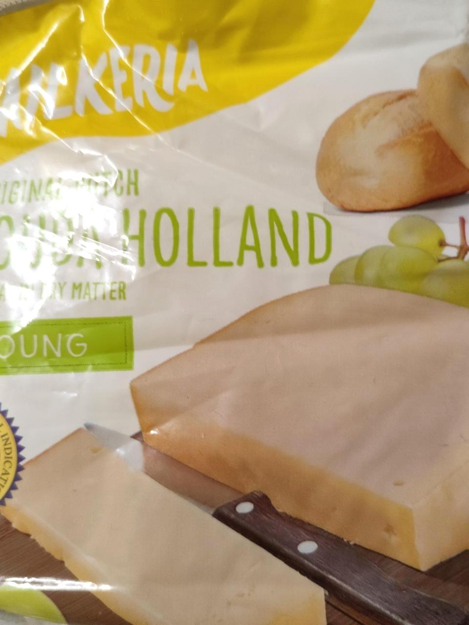 Képek - Gouda 48% sajt Milkeria