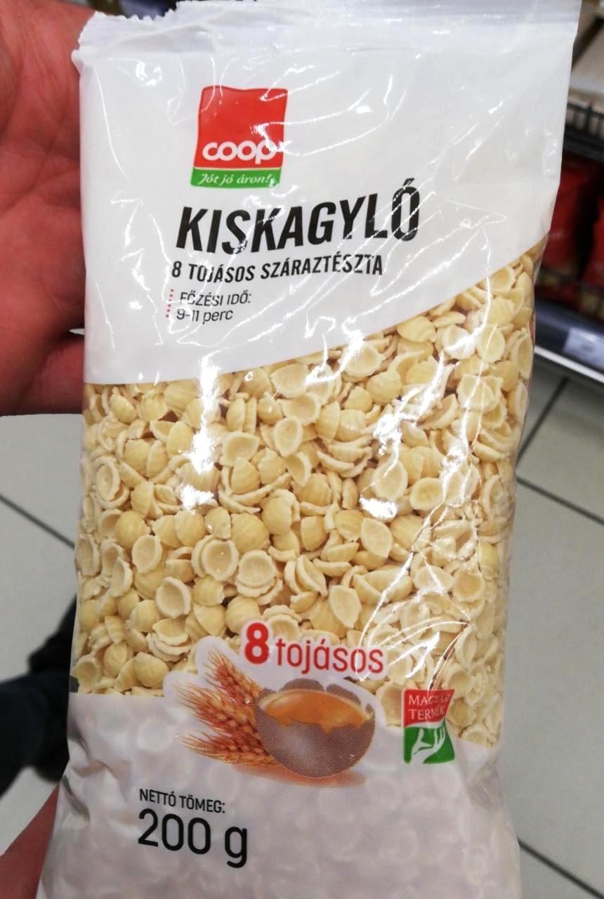 Képek - Kiskagyló száraztészta Coop